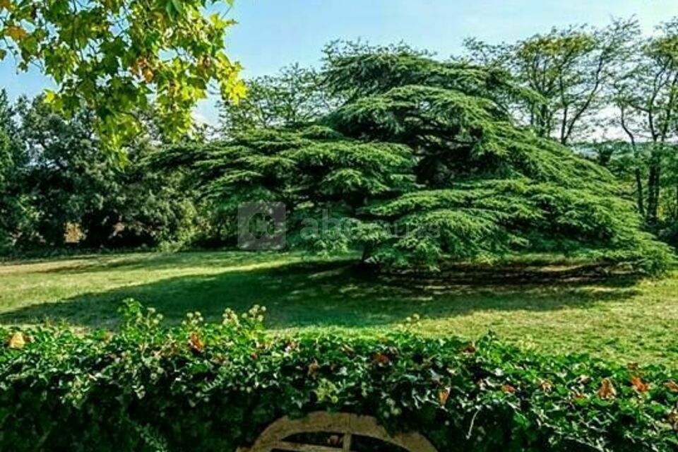 Château Saint Maurice