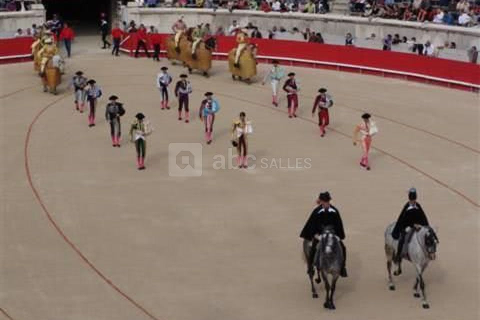 Mas de la Tour de la Musette