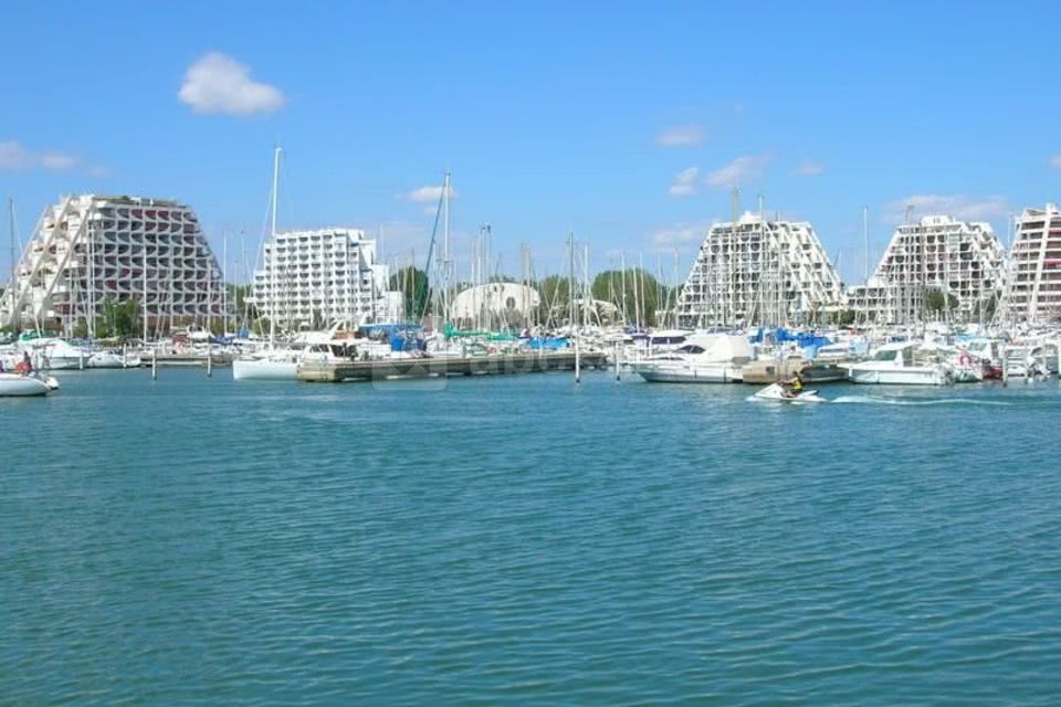 Grandemotte