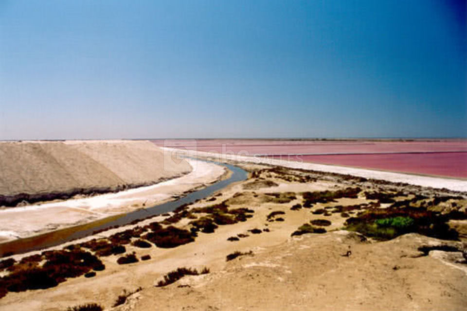 Salins