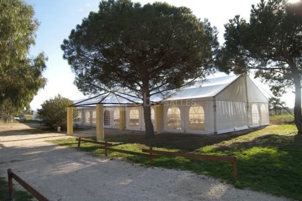 Chapiteau