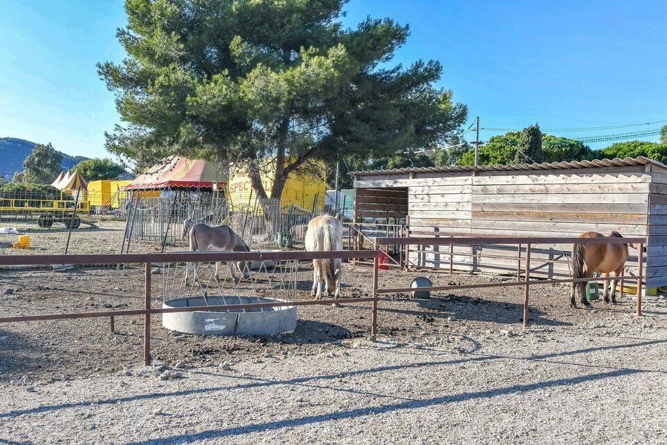 Ballade à poney