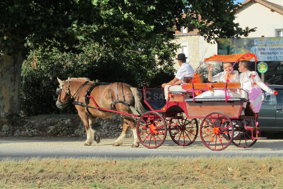 Les mariés arrivent en calèche !!