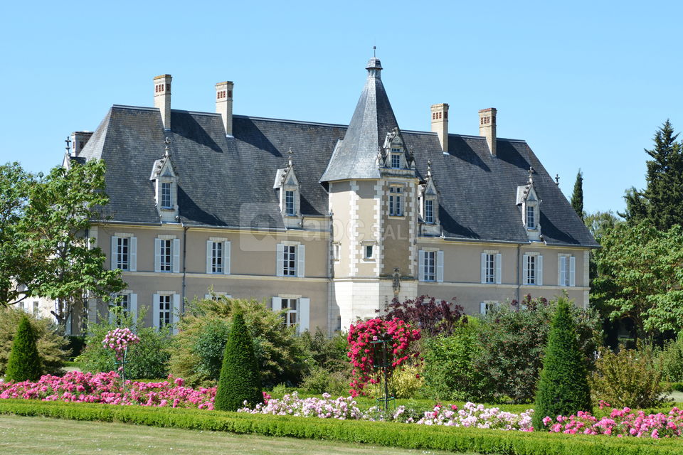 Jardin