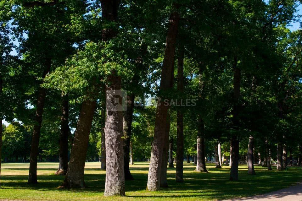Château de Valençay