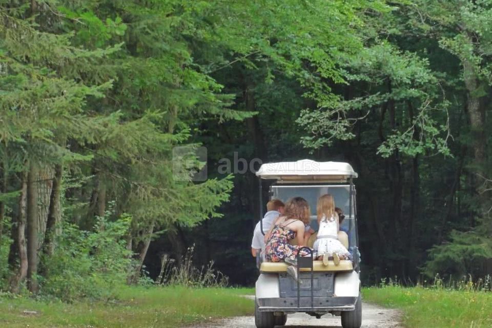 La forêt des princes en golfette