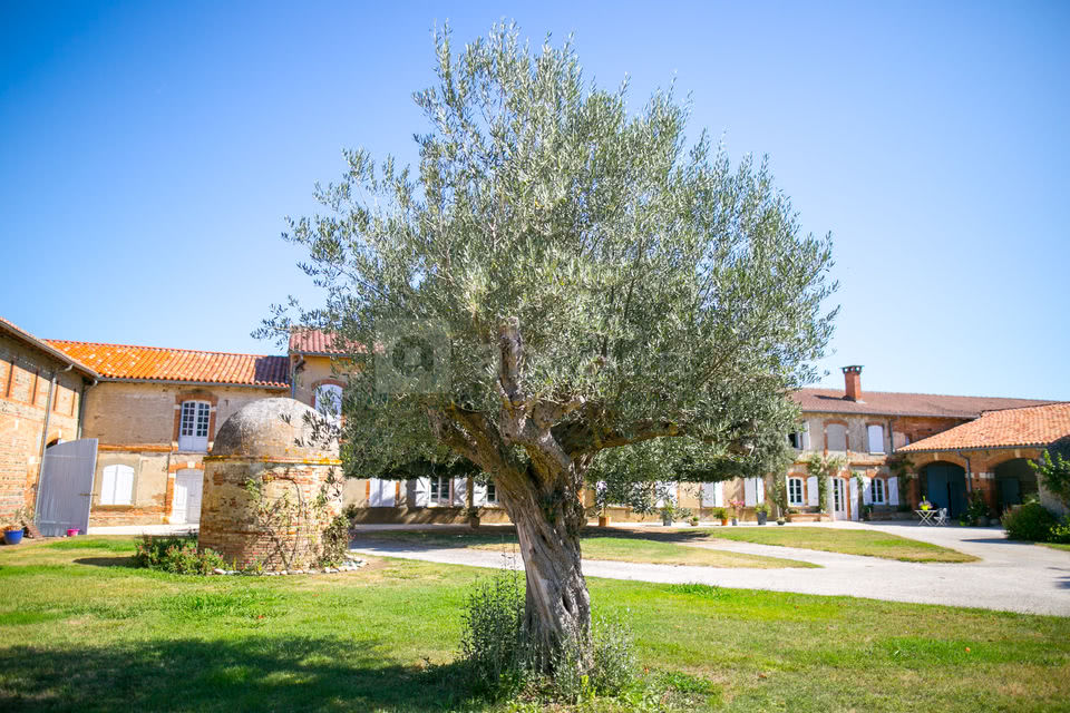 Domaine de Galant