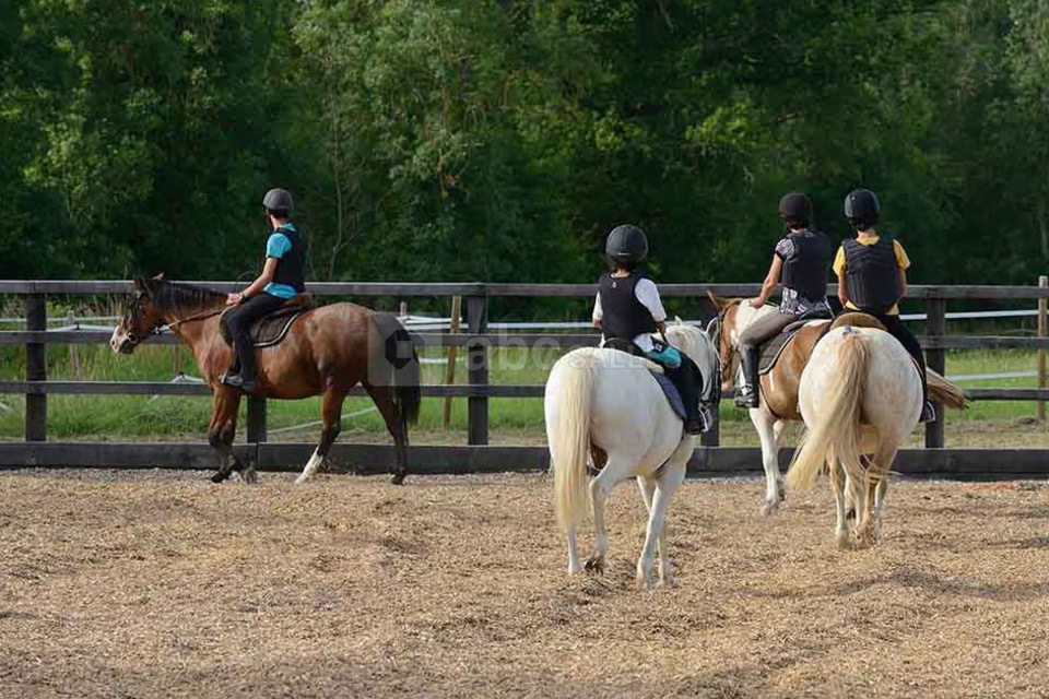 Château Le Mas de Montet