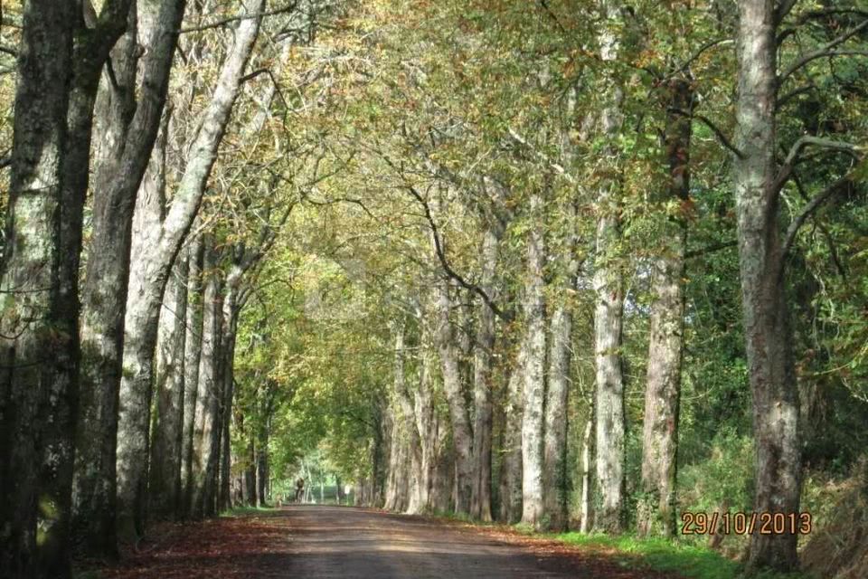 L'allée du château