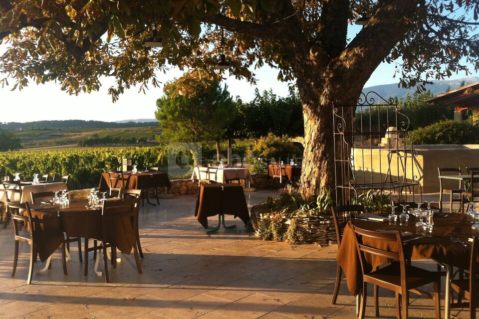 Repas en terrasse extérieure