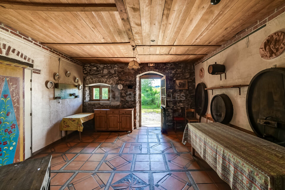 Domaine Saint Loup