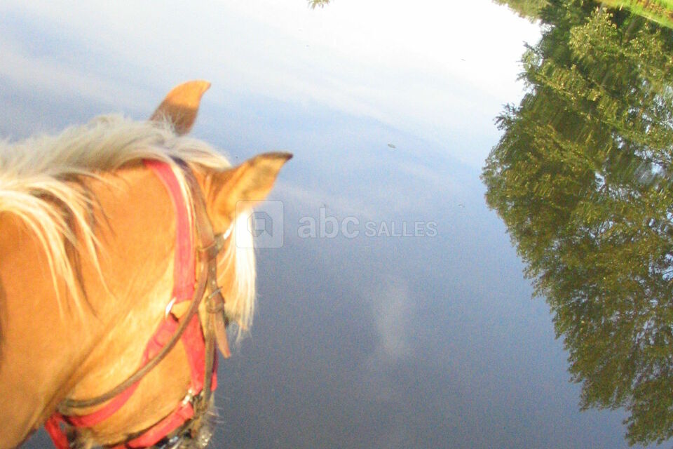 Parc