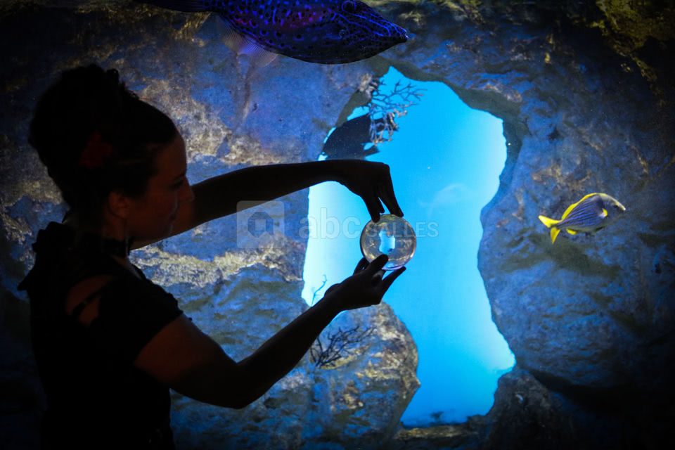 Aquarium de Saint-Malo