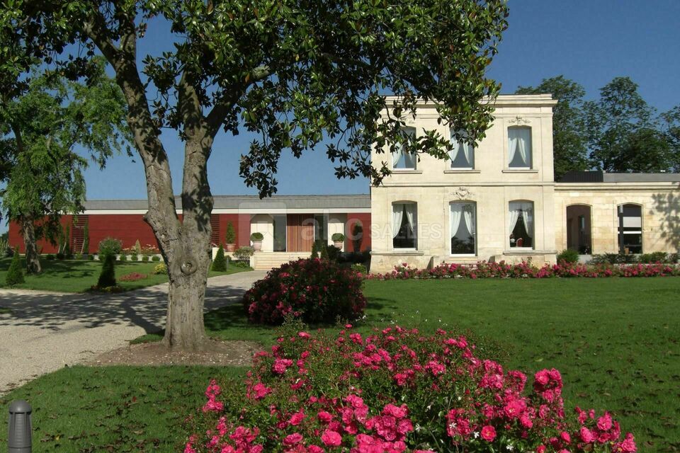 Château Luchey Halde