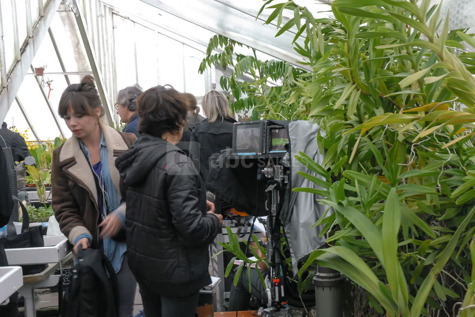 Orchidées Vacherot et Lecoufle