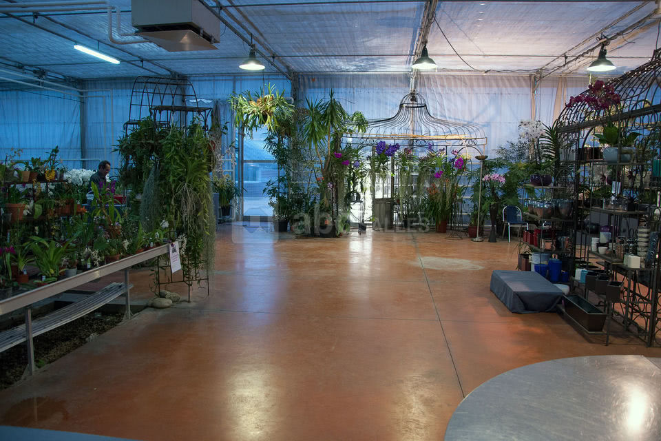 Orchidées Vacherot et Lecoufle