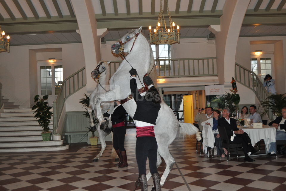 Hippodrome Deauville Clairefontaine