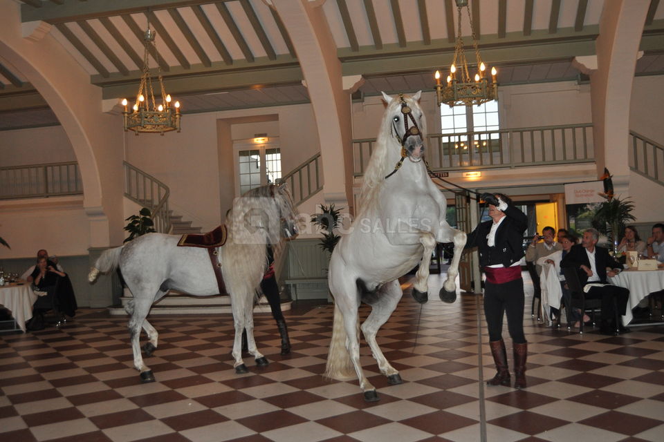 Hippodrome Deauville Clairefontaine