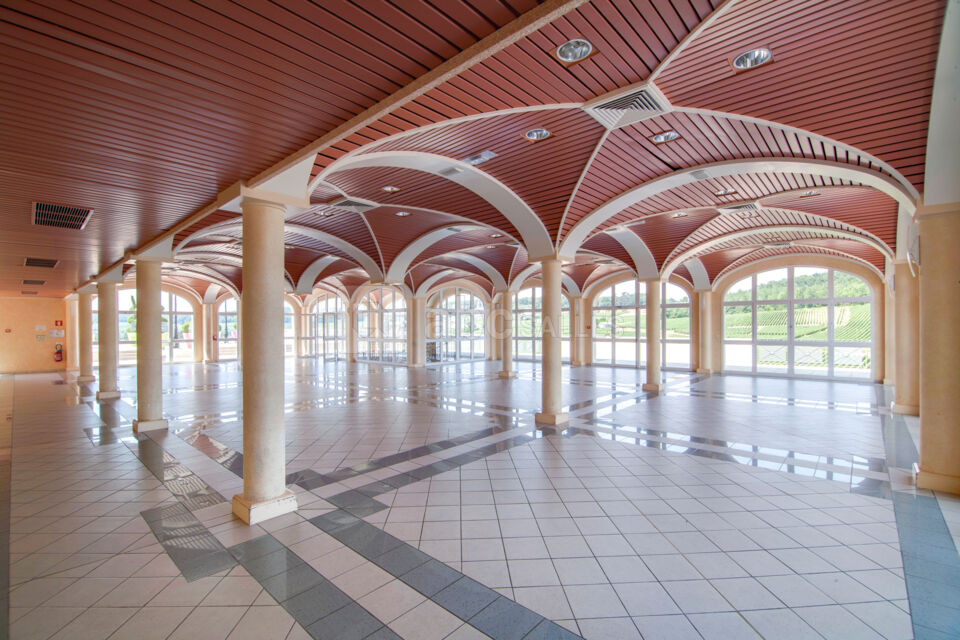 LA SALLE PANORAMIQUE