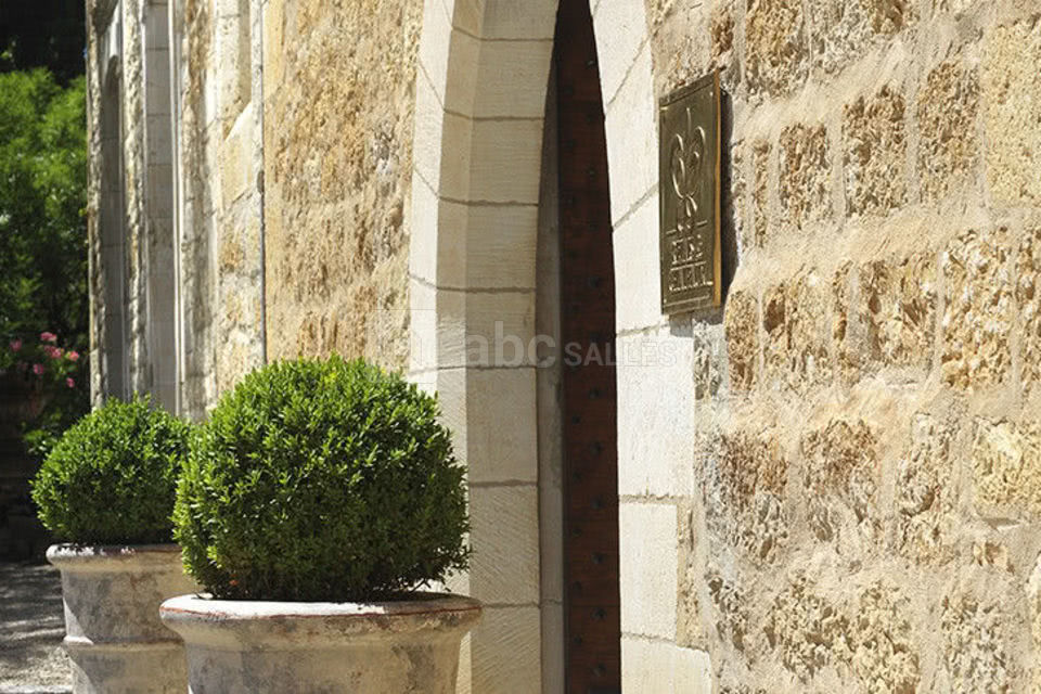 Château de la Treyne