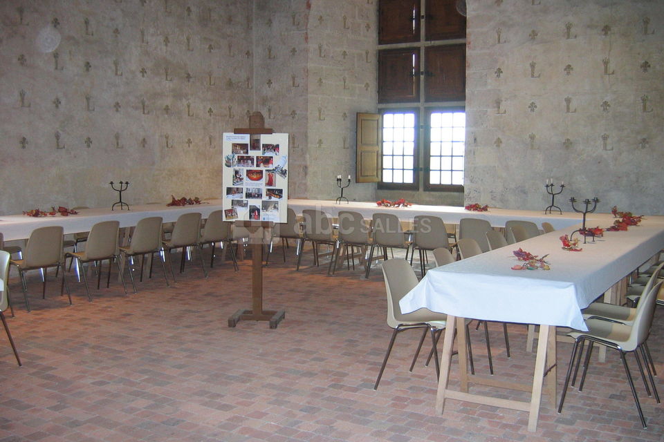 Château de Châteaudun