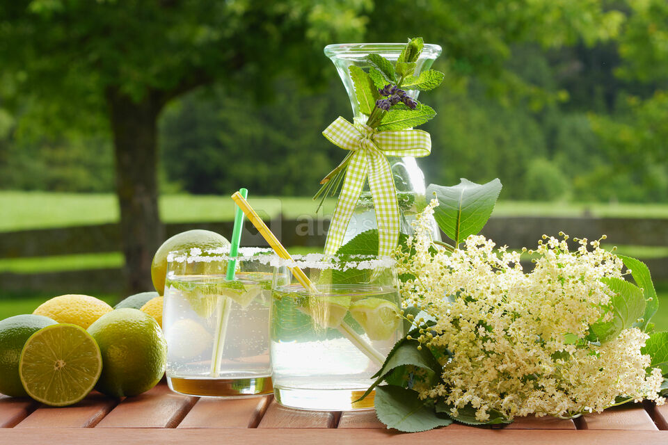 Cocktail - Pavillon Boulogne