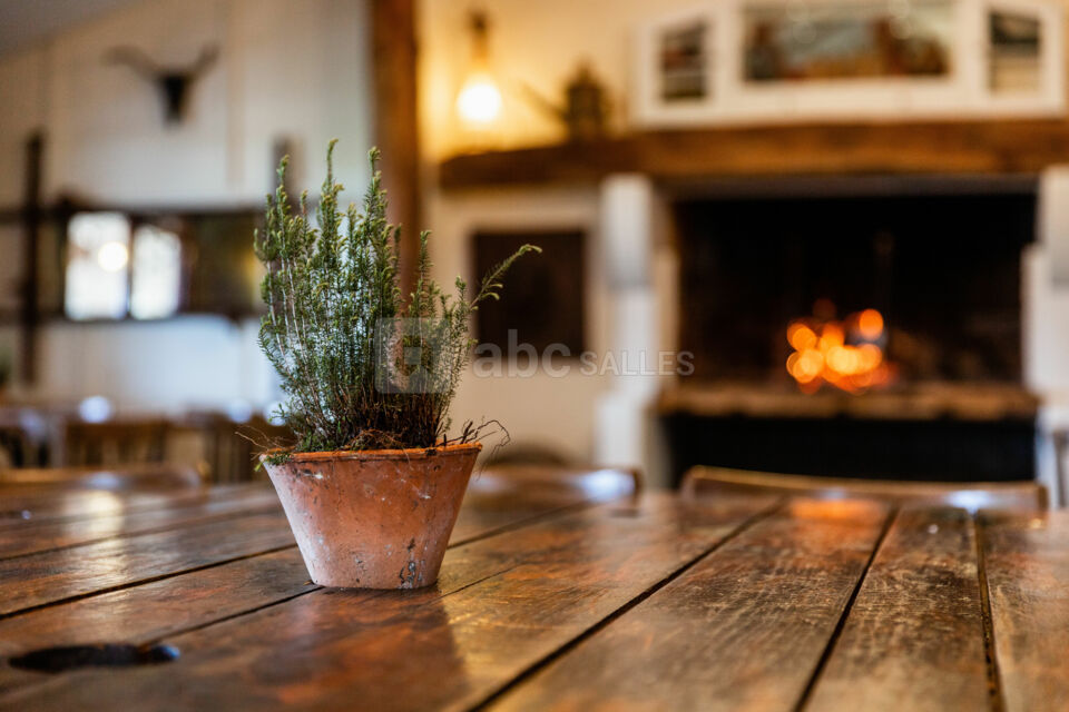Ambiance cheminée