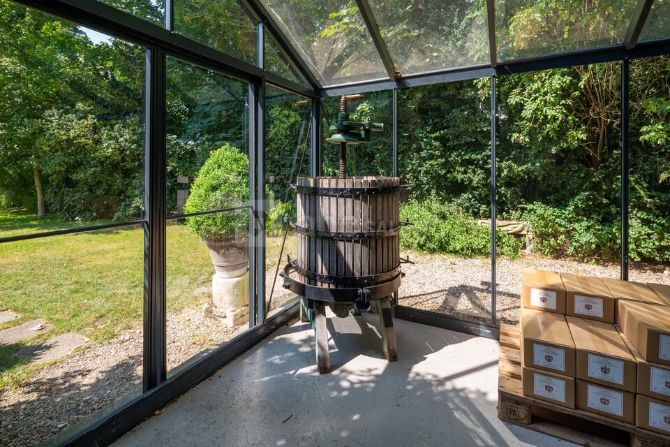 La Vigne de Paris Bagatelle