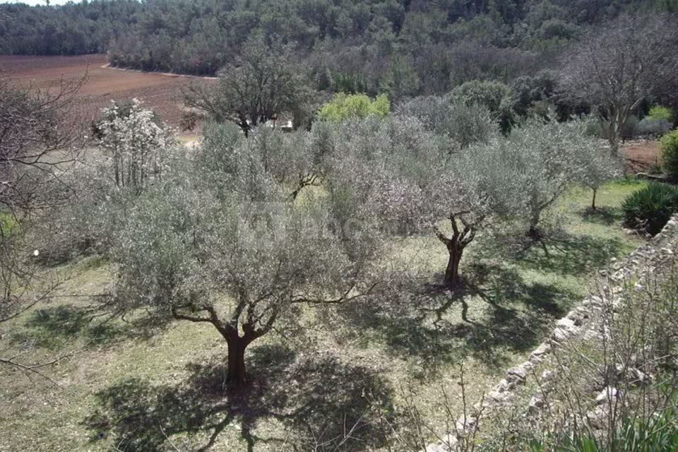 Vue de la terrasse