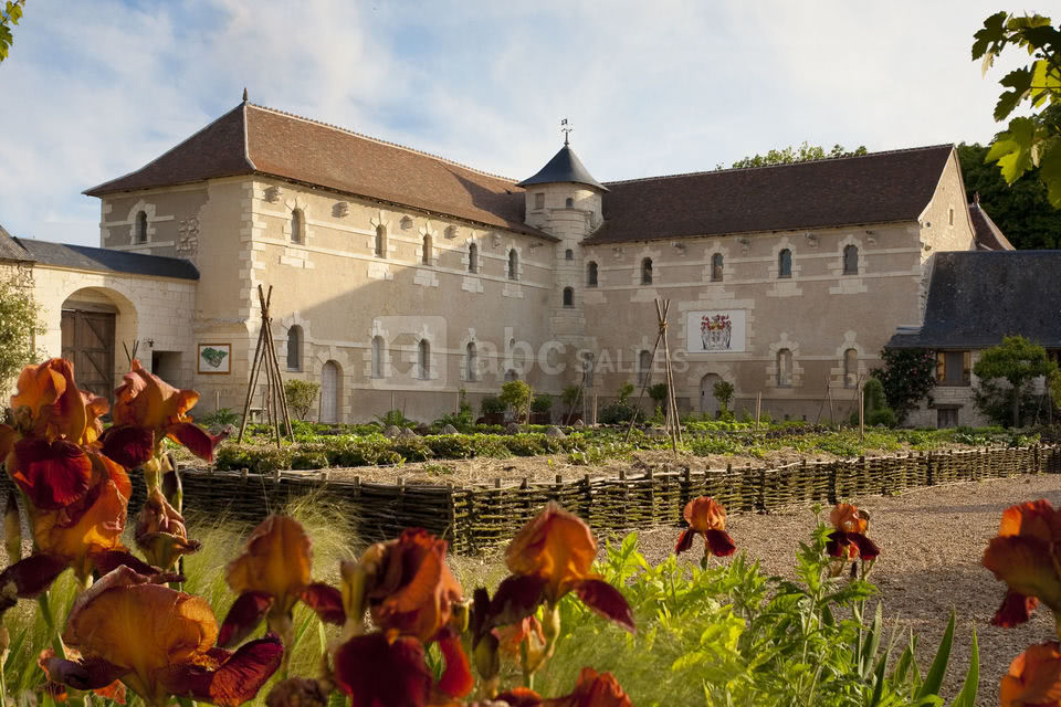Château du Rivau