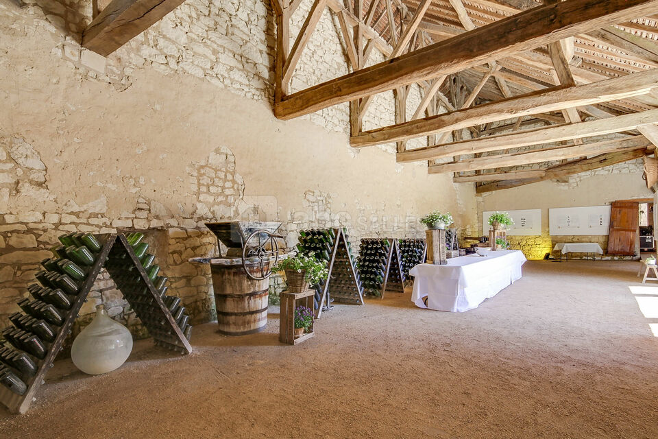 Château du Rivau