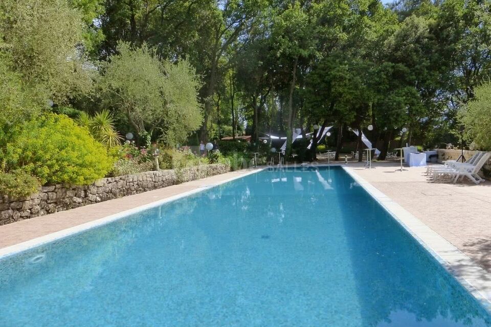 Le Paradis des Oiseaux