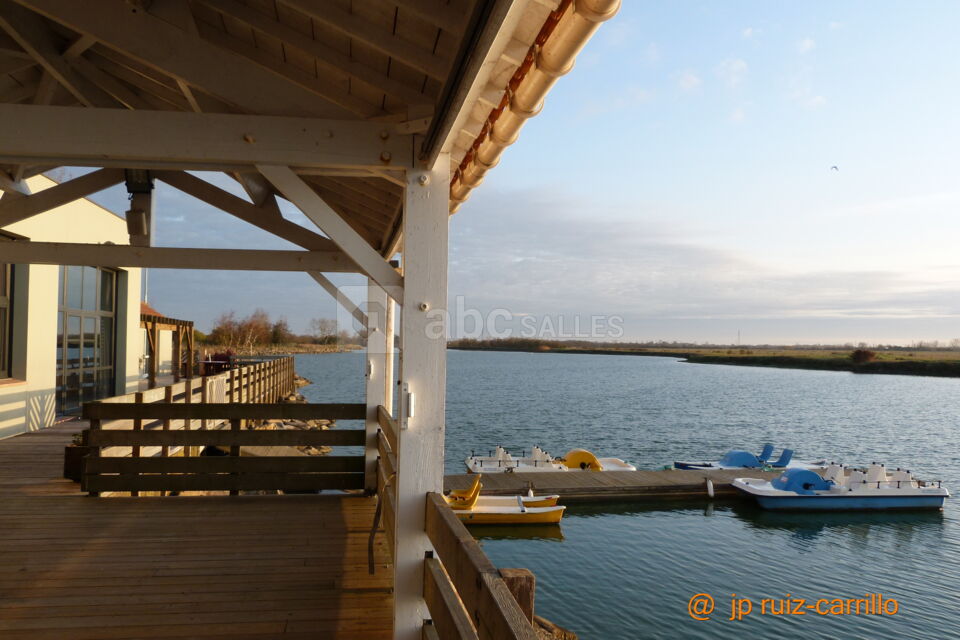 Domaine des Guifettes