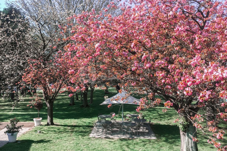 Le jardin de 2 hectares et notre piscine extérieure