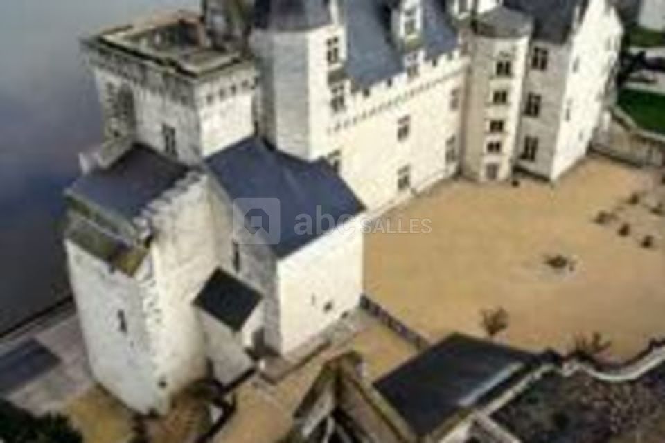 Le chateau de montsoreau