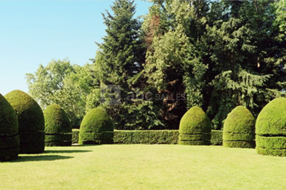 Le jardin à la francaise