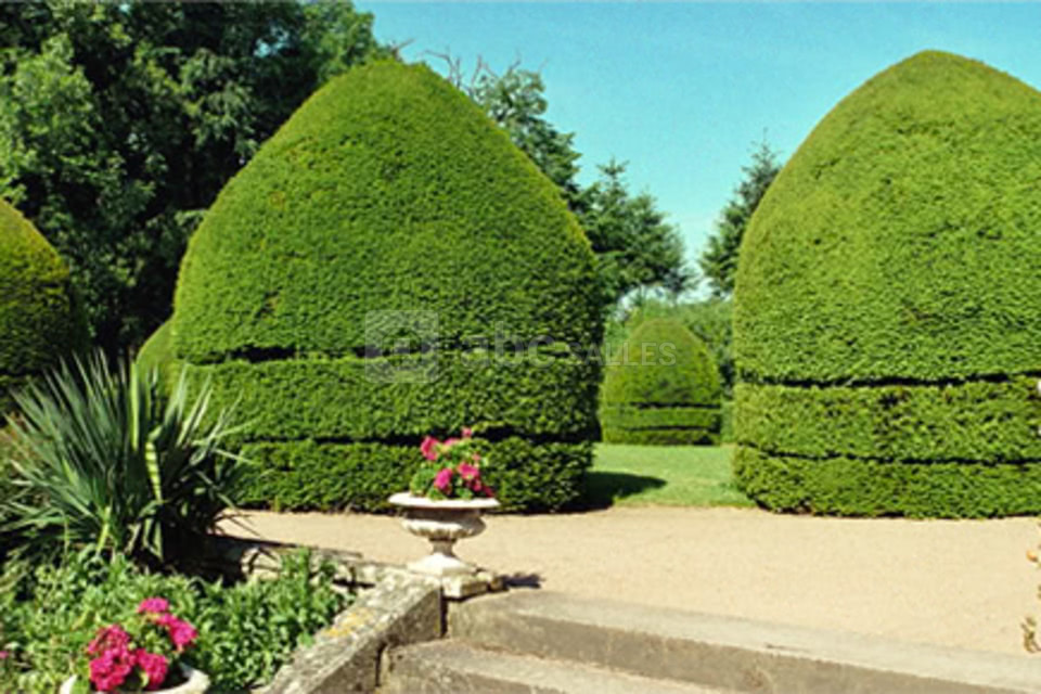 Le jardin à la francaise