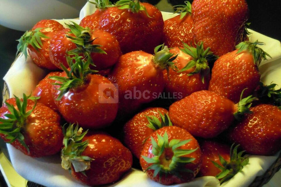 Restaurant le Pavillon