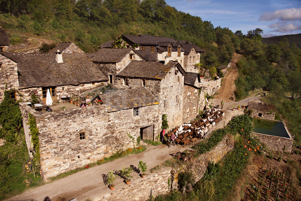 La Ferme des Cévennes