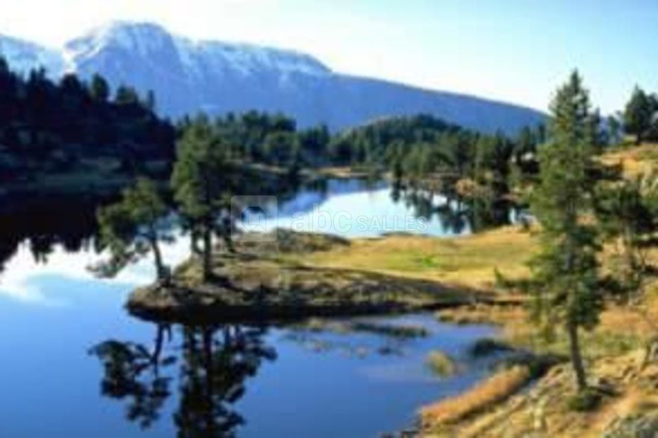 Lac achard