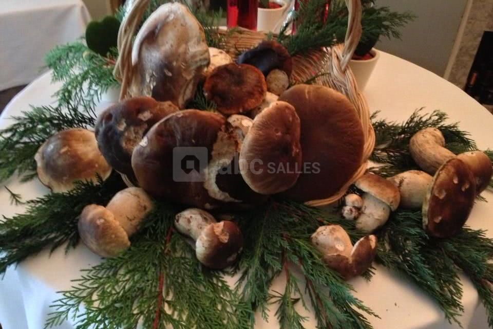 Castel du Pont d'Oly