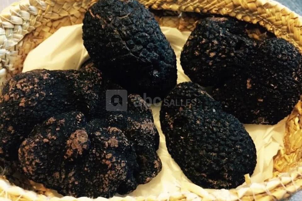 Castel du Pont d'Oly