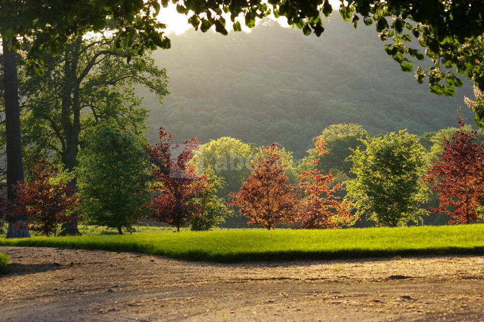 Château de Salvanet