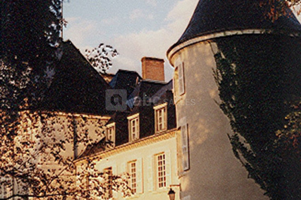 Château Domaine du Fan