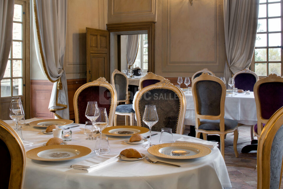 Château de la Perrière