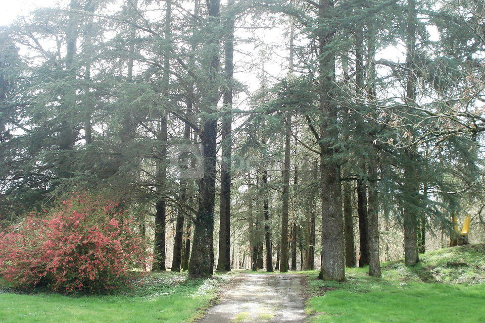 Au coeur du parc