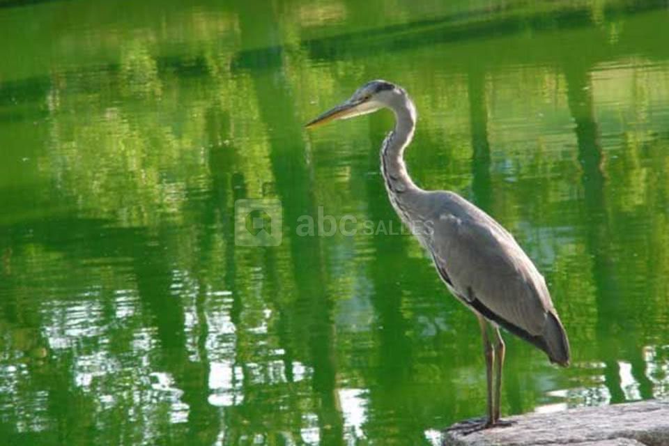 Château Le Verdoyer