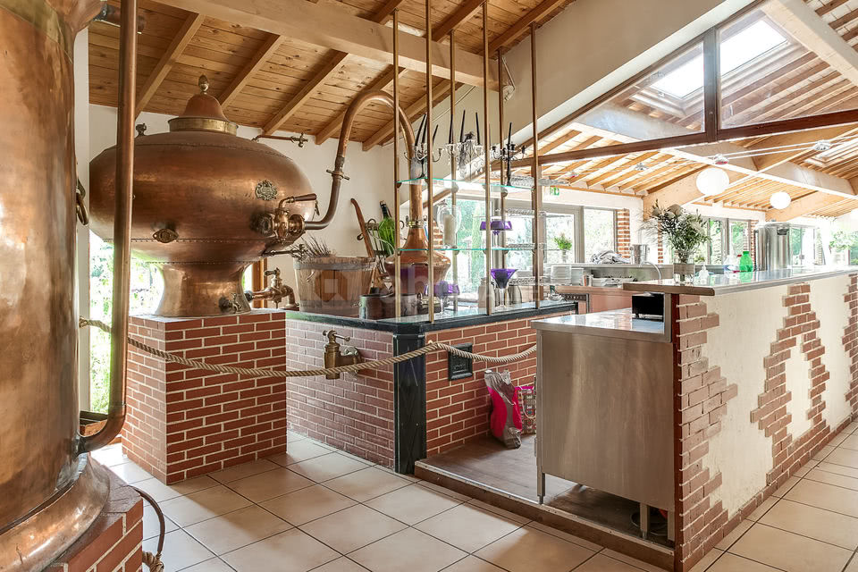 Domaine Alexander - Restaurant La Bohemia