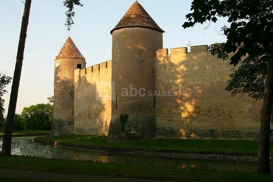 Château d'Ainay-le-Vieil