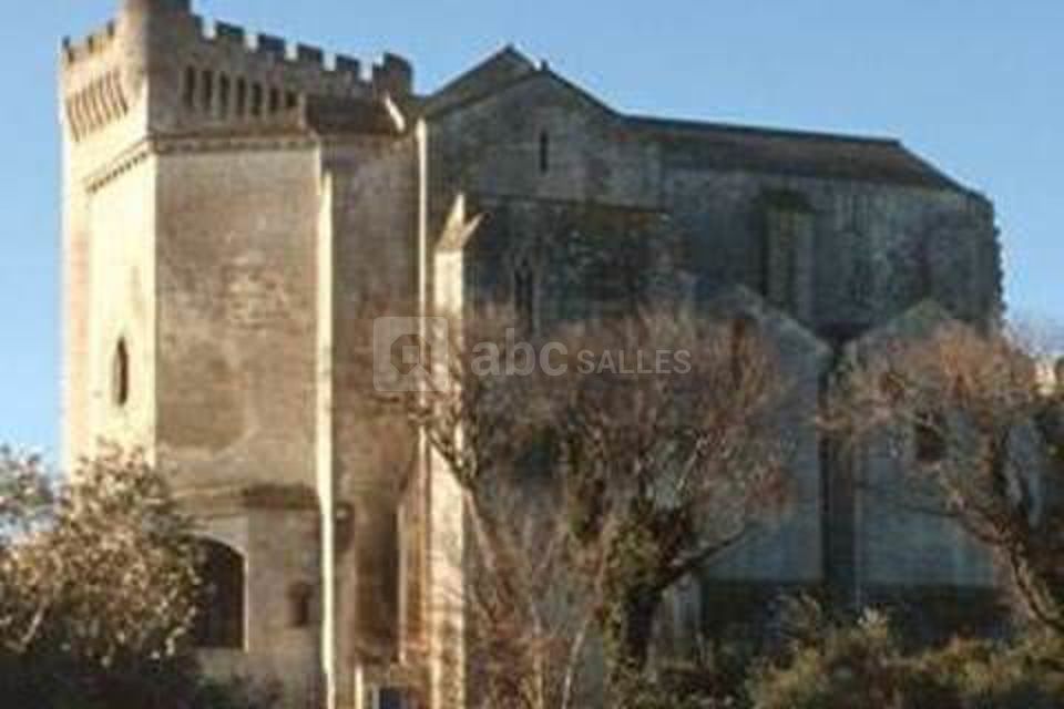 Abbaye de Montmajour